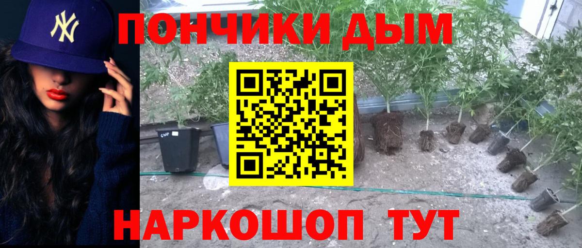 Бошки марихуана Amnesia  Конопля марихуана  Кимры  Вход с VPN 